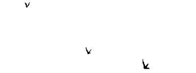 loader