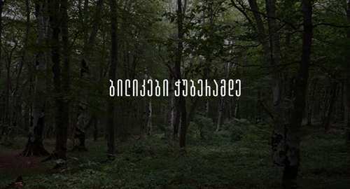 transmedia
